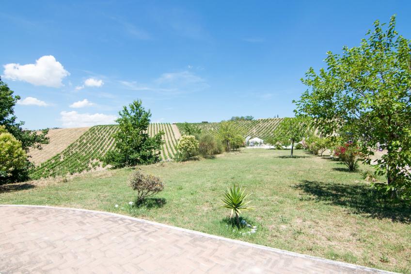 Apartment Rosa - foto 7