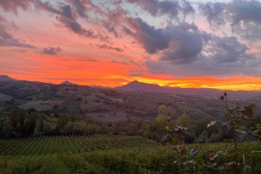 Raggio di Sole - foto 39