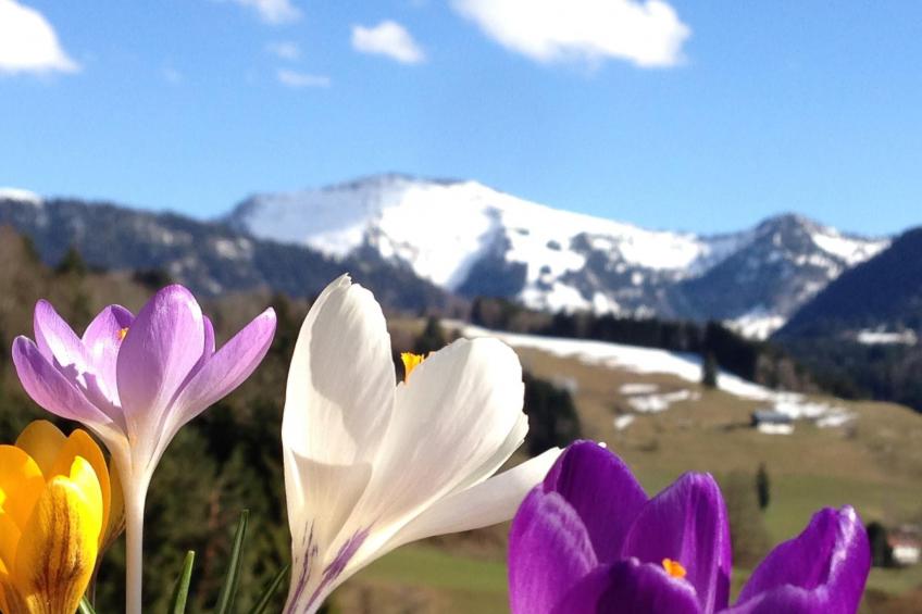 Sehnsucht Allgäu - foto 19