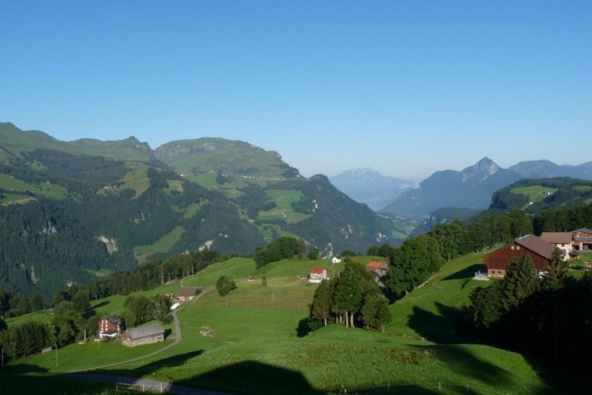 Bauernhof obere Fraumatt - foto 8