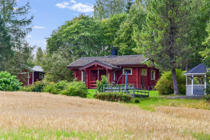 Petäjäniemi - foto 45