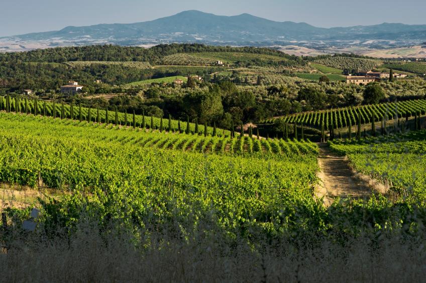 Romantic Apartment In Chianti Classico - foto 20