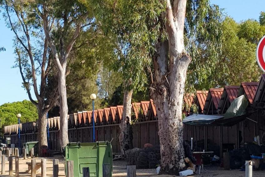 "Estrelinha da Fuzeta" - foto 21