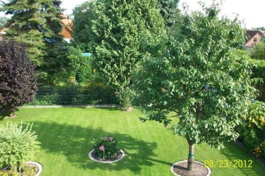 Schöne Ferienwohnung in Alt-Marzahn - foto 4