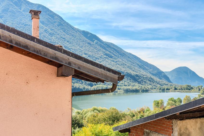 Papaveri e Papere - foto 20