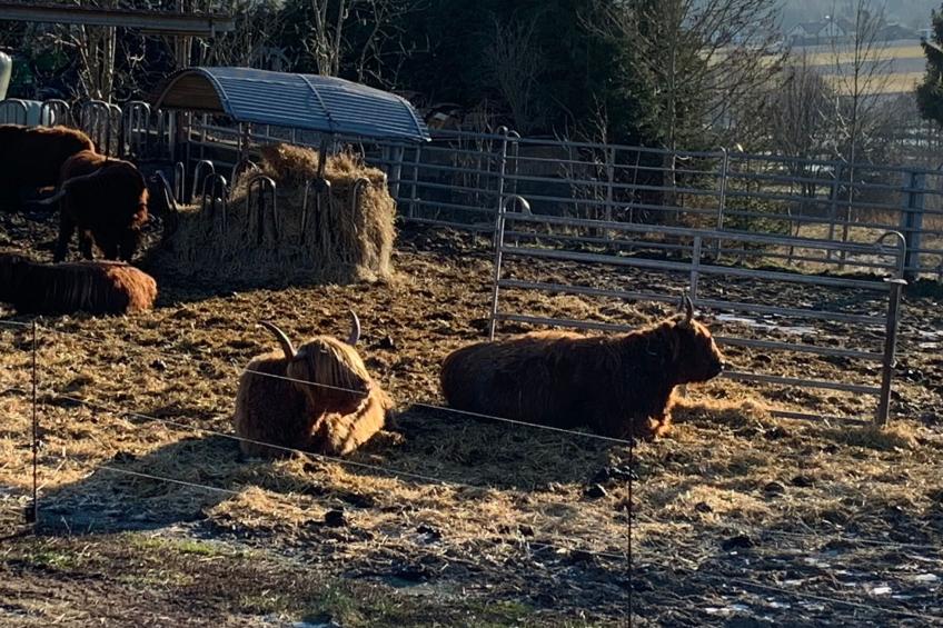 Fichtelzauber mit Sauna - foto 21