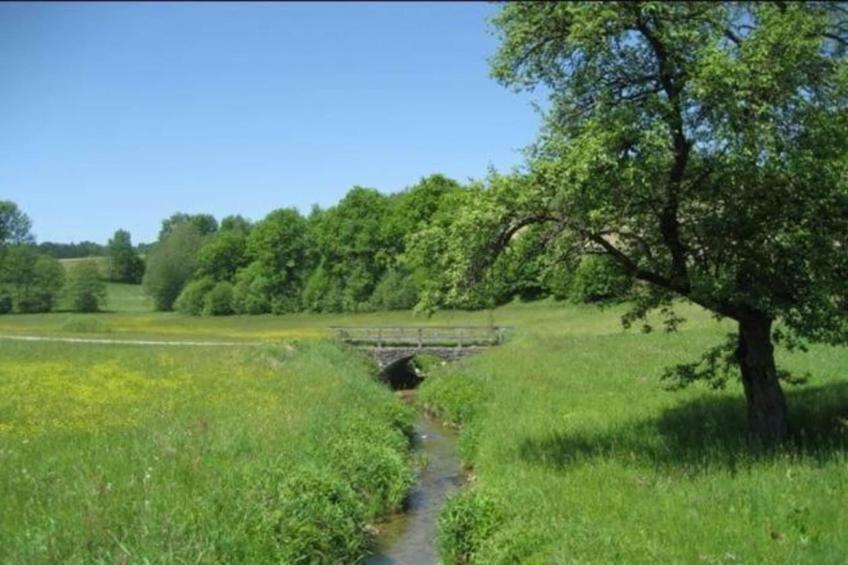 Im Bayerischen Wald - foto 33