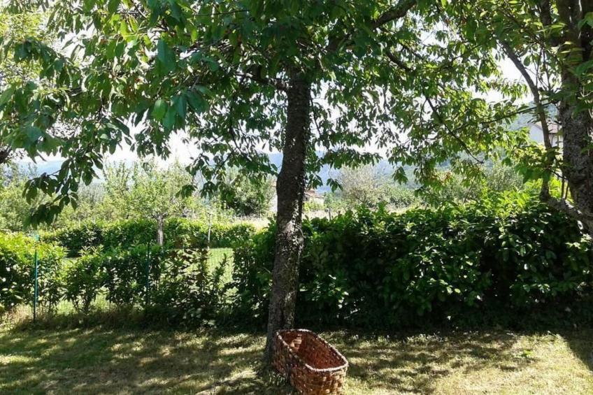 mit Wasserblick - foto 18