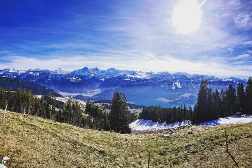 LiloTopMountainView - foto 28