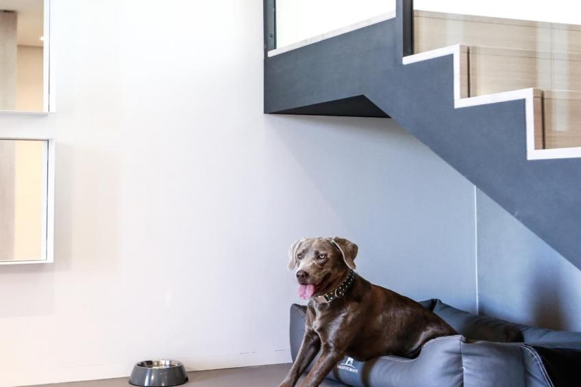 Landloft 27 7-8 Personen - foto 19