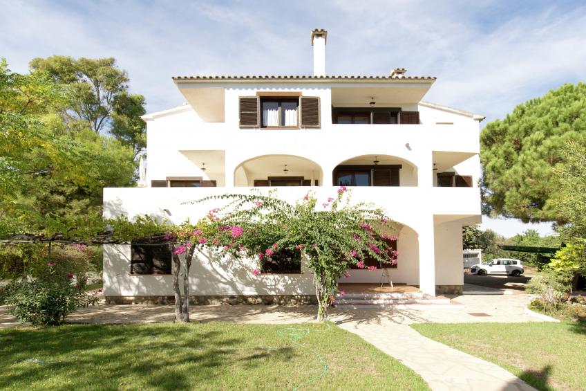 Nobi's Los Pinos - foto 2