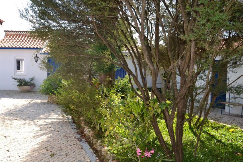 Quinta D'Avó Amélia, wunderschönes Landhaus zwischen den Bergen und dem Meer - foto 23