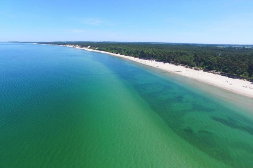 Aurora Domki Przewloka - foto 38