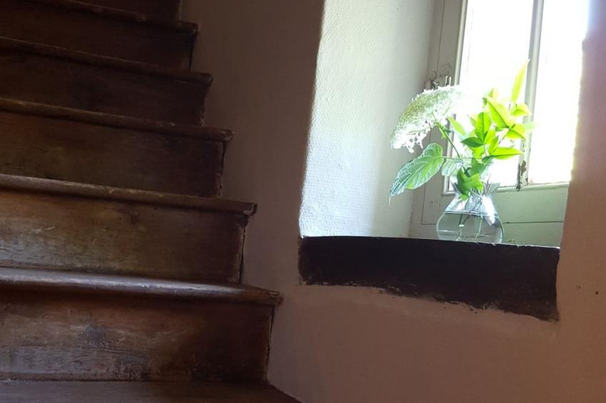 Der Pavillon - im Park des Schlosses Lescaut - foto 19