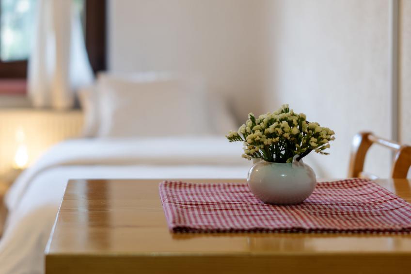 Pansion Seosko domaćinstvo Butina - foto 19