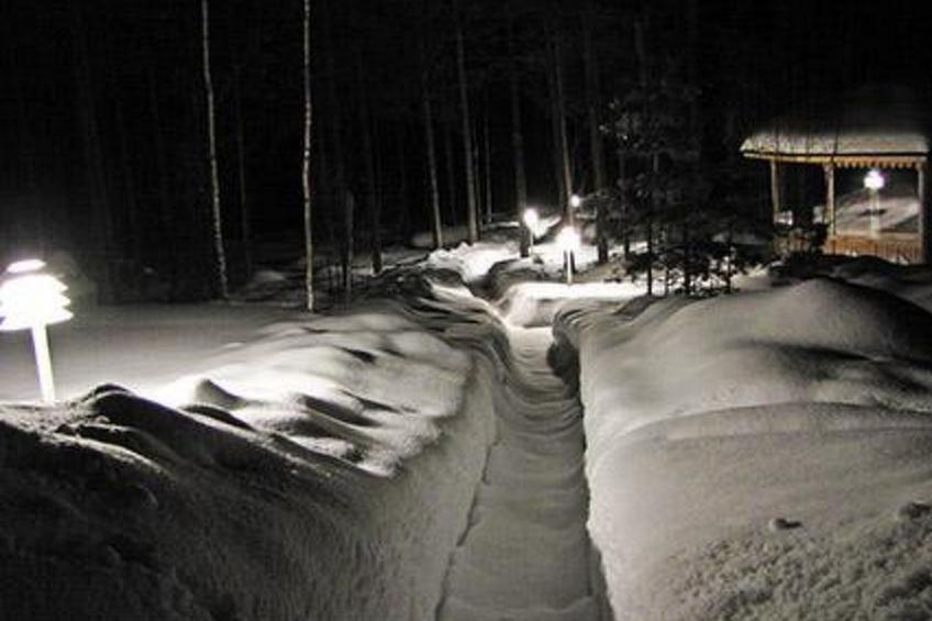 Kuikka - foto 2