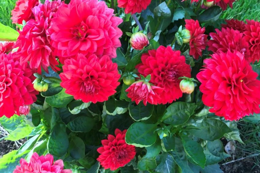 Haus Alpenblick - foto 32