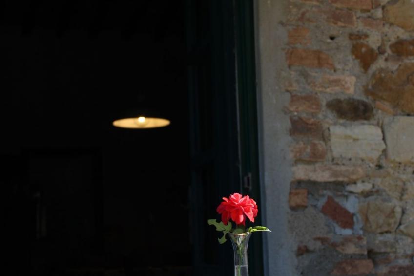 'Dispensa4' mit Pool - foto 9