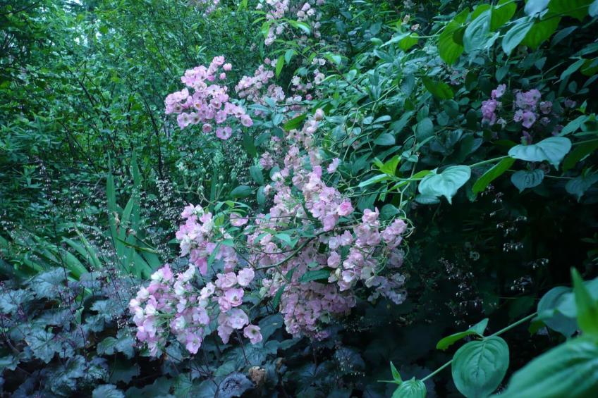 Haus freistehend Sonne Bett 160cm Patio billig - foto 41