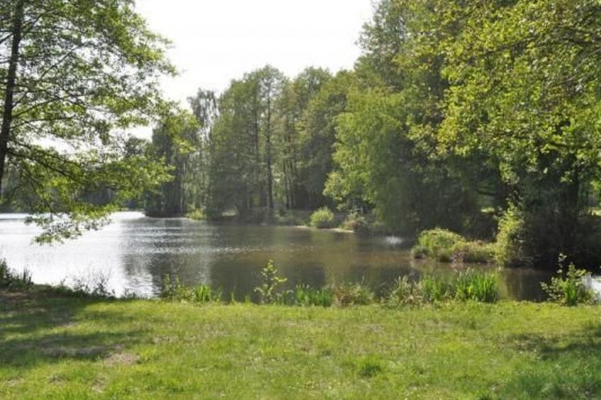 Idylle pur: Ferienhaus am See mit eigenem Garten - foto 15