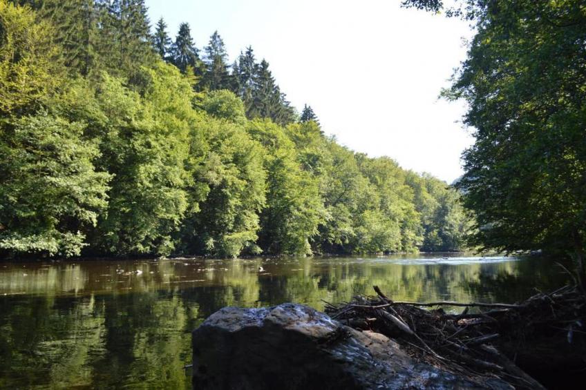 Vue d'en Haut - foto 33