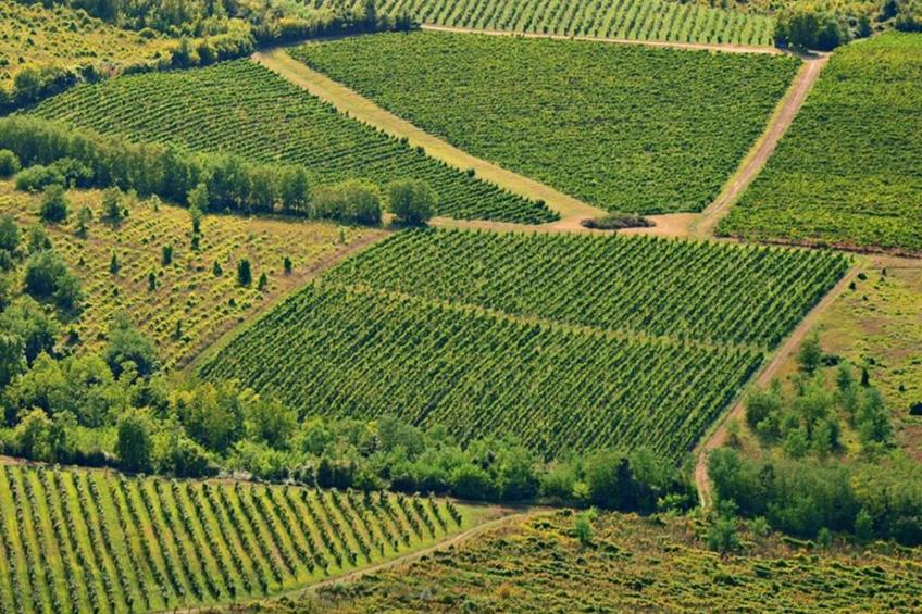 Villa LETICIJA - Luxusvilla mit beheiztem Pool, Sauna, Fitness & Grillplatz in - foto 44