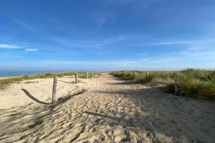 Zon in de duinen - 33 - foto 29