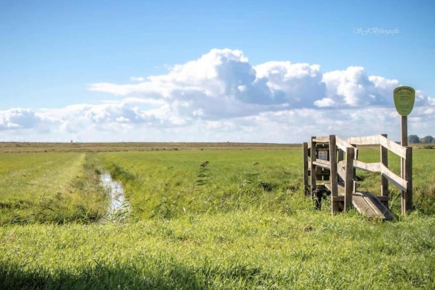 Park Wijdenes 4 - foto 37