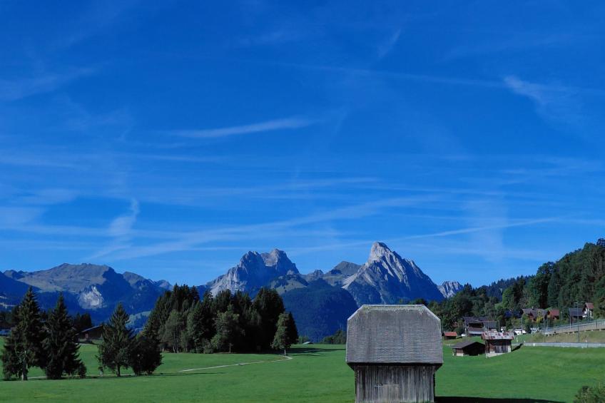 Fichte (Marija) - foto 9