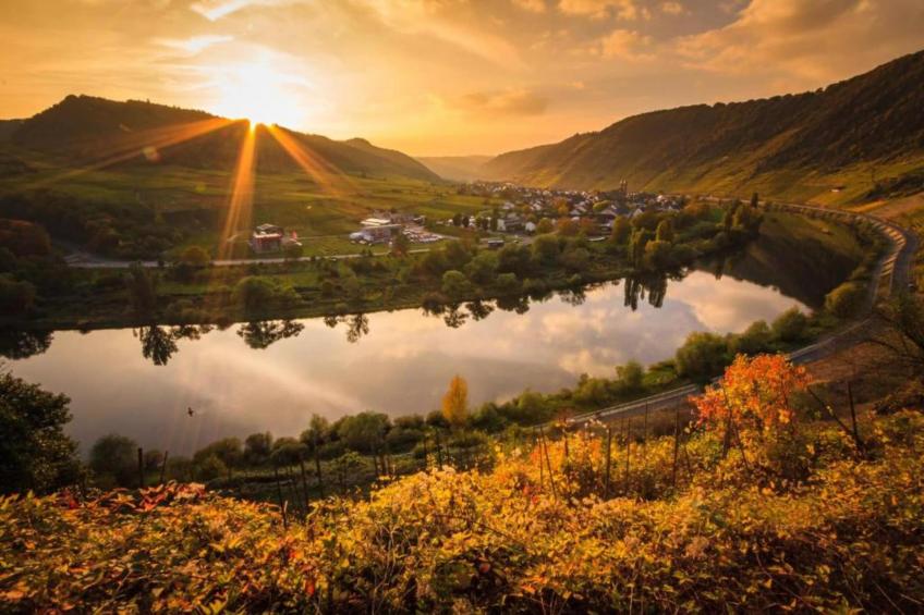 Ferienwohnung Jünkerath - foto 28