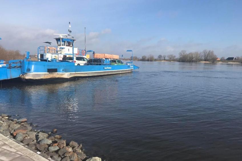 Elbe-Ilenpool -In Ruhe entspannen - foto 36