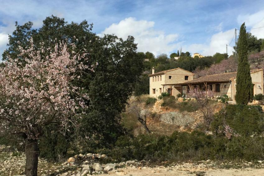 Leerstehendes Haus "Can Elisa" - foto 2