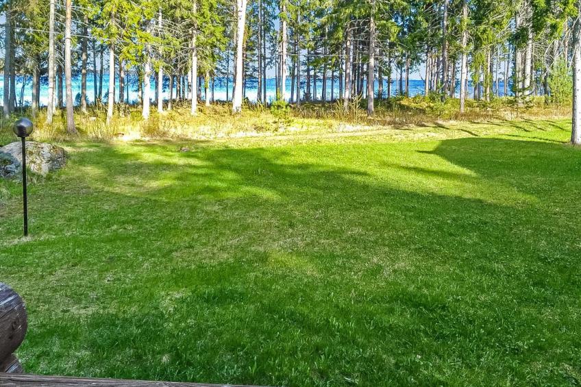 Koli, cjoe070c purnuranta - foto 15