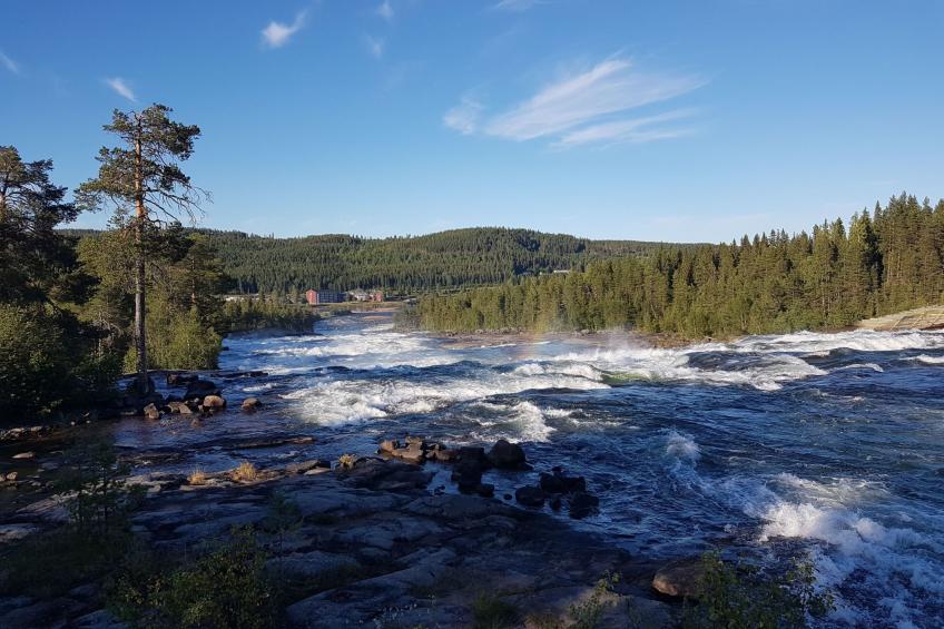 Villa Moose - foto 23