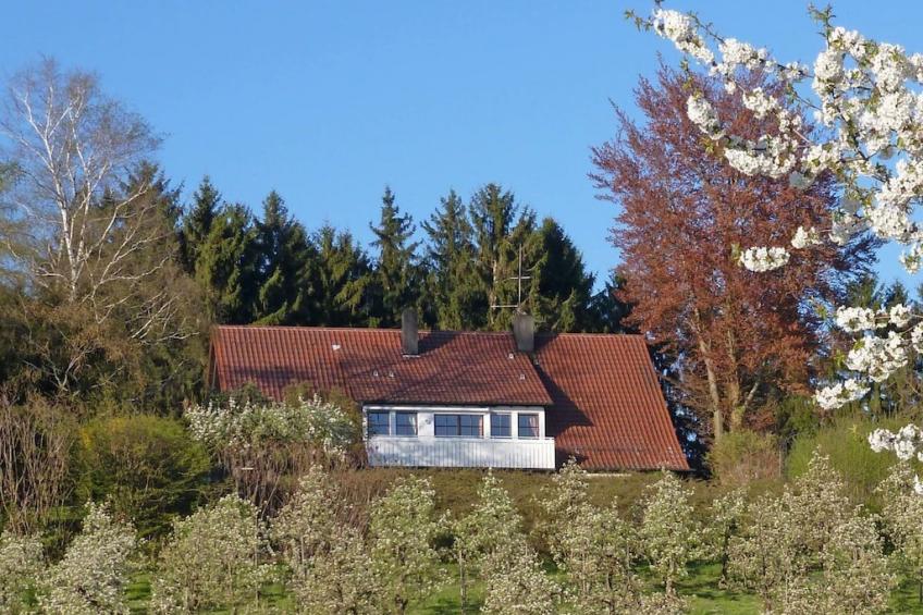 247047 - foto 3