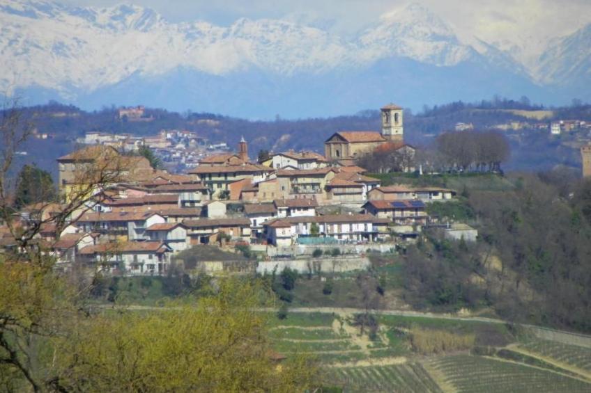 Wohnung Marrone b in Verduno - foto 9