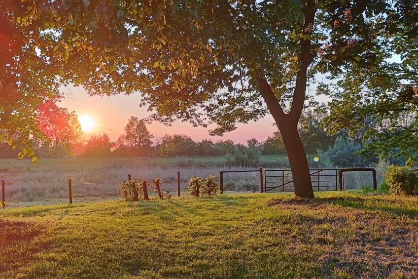 Coproyshof am See - foto 45