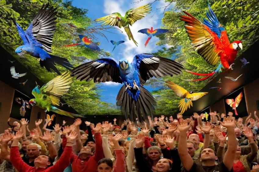 Casa de Rosella-Adeje con piscina privada - foto 31