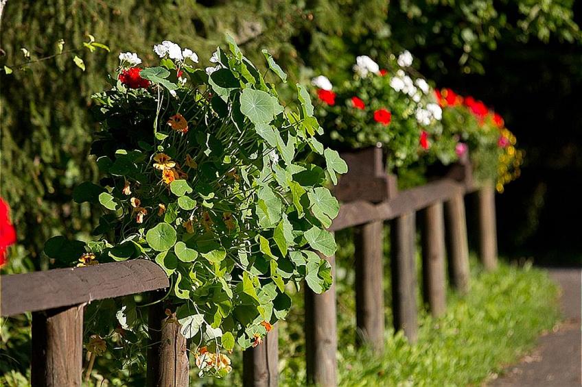 Haus 1  - Typ C (kombiniert) - foto 20