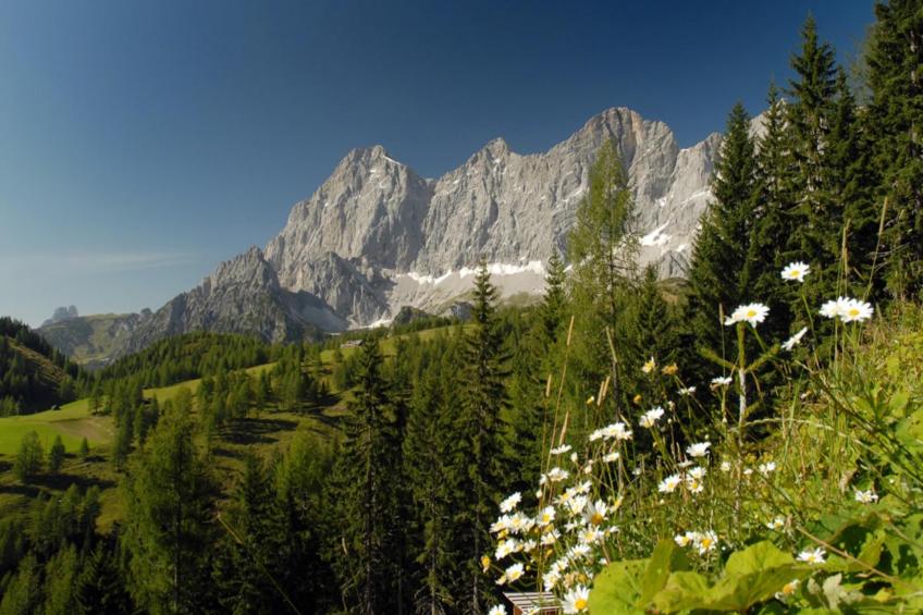 Dachstein Grand Alpine Lodge - foto 8