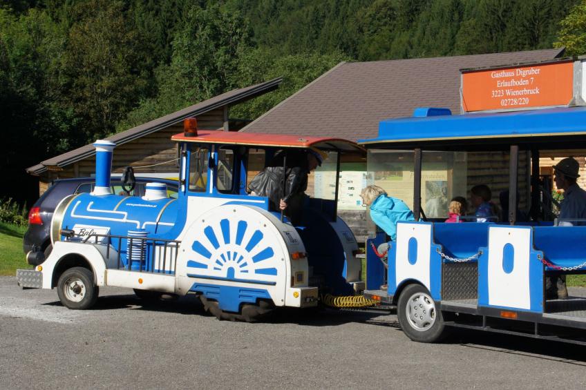 Haus König FEWO - foto 19