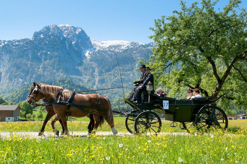 Appartement Bergkristall mit Gebirgsblick - foto 20