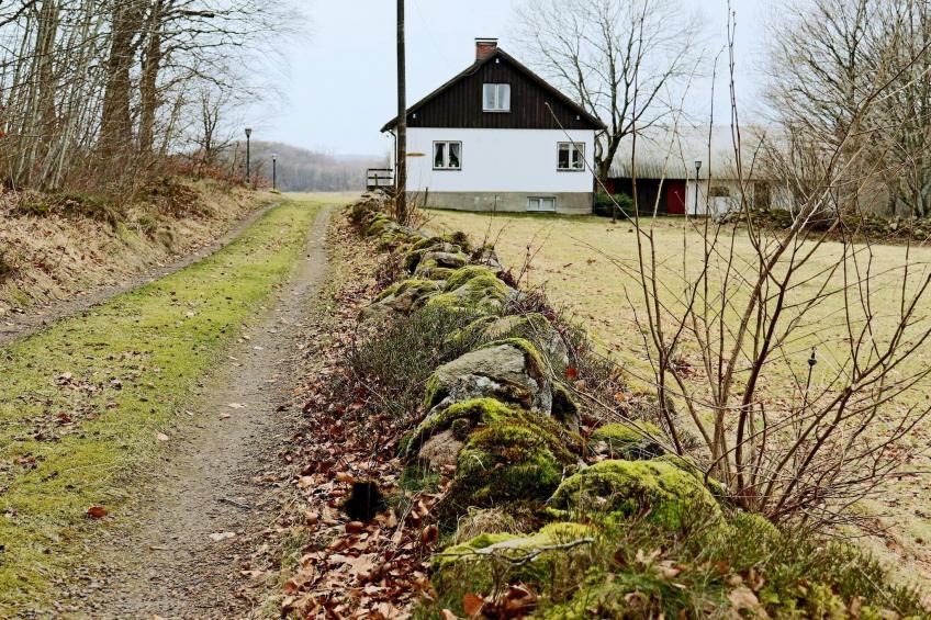 BF-YJWVH - foto 7
