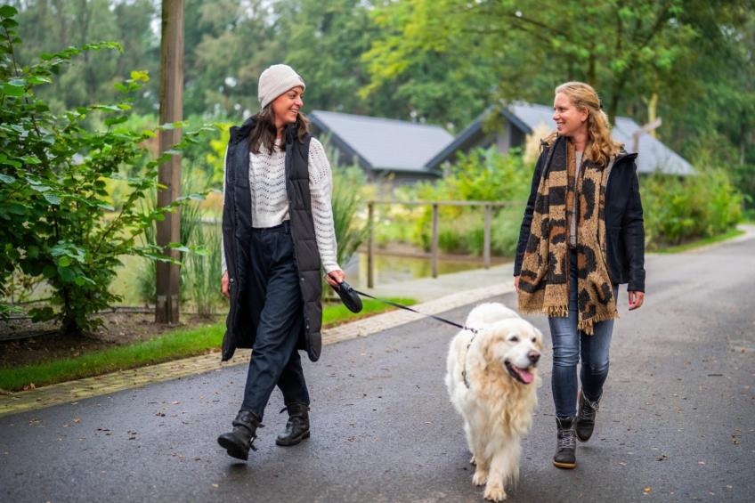 Vakantiepark Latour 4 - foto 20