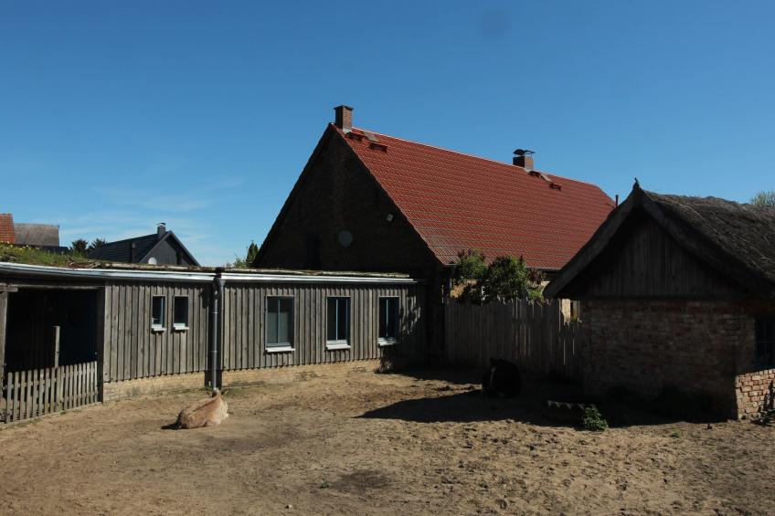 Holunderhof - foto 24