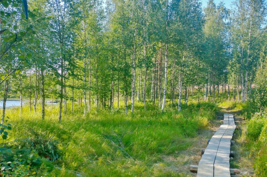 Huitsin nevada - foto 15