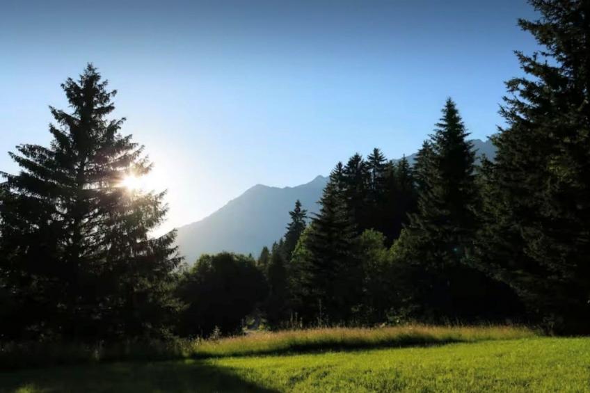 "Chalet de Bois" Süd herrliche Aussicht - foto 13