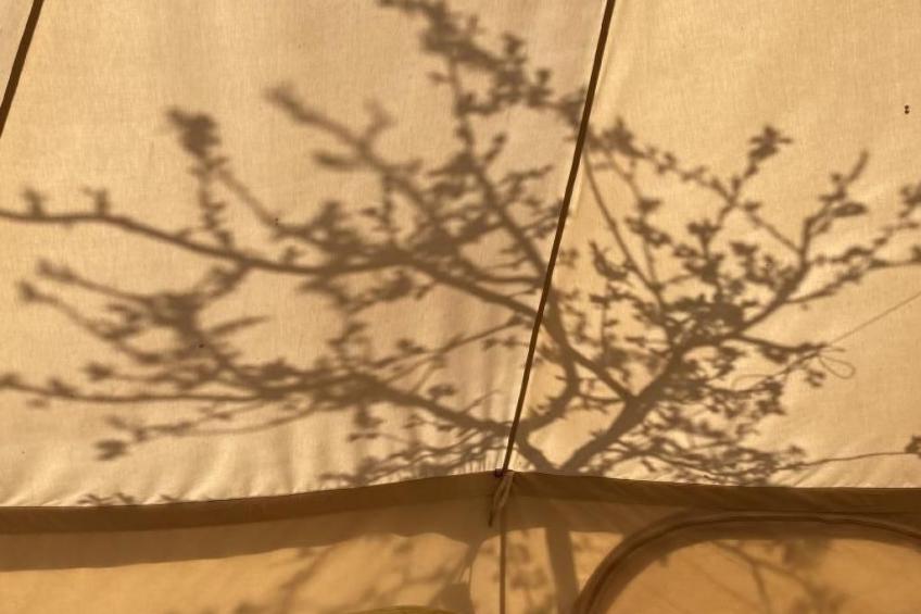 Zeltferien Into the Wäid "Panoramazelt" - foto 8