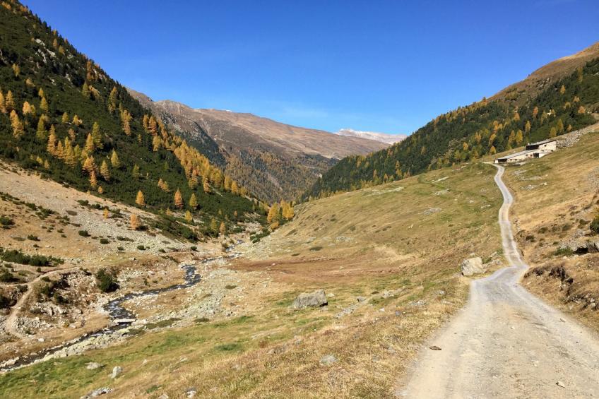 Berna - foto 25