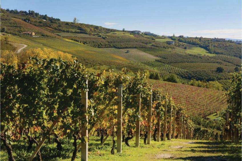 Aurora Vistalago - foto 25